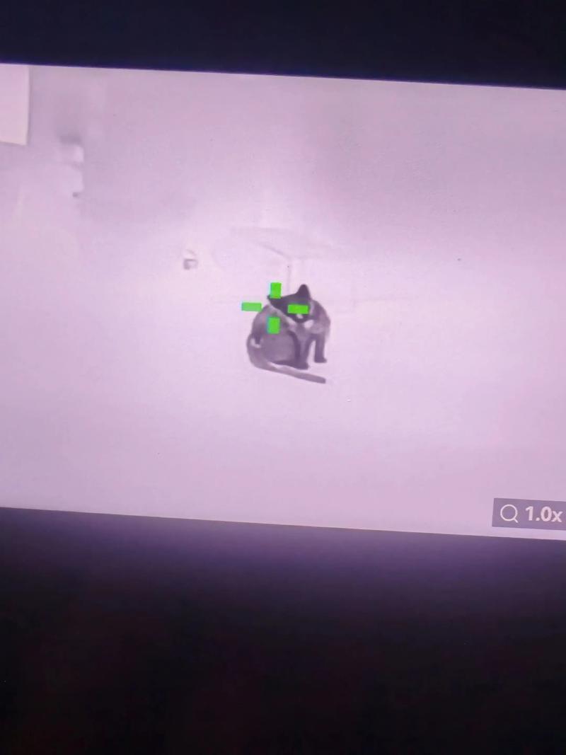 但是发芽大蒜非常容易发芽